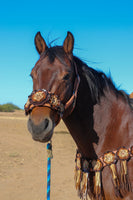 Floral Bronc Halter