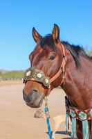 Floral Bronc Halter