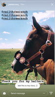 Custom Bronc Halter Downpayment